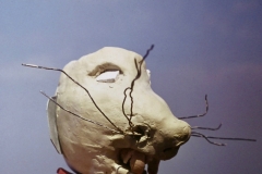 6/68