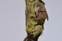 DSC00012 4
