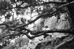 0075